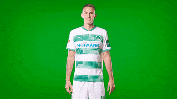 Goal Yes GIF by SpVgg Greuther Fürth