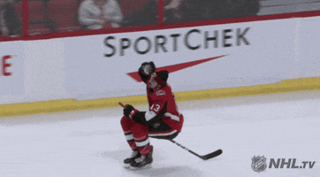 celebrate ice hockey GIF by NHL