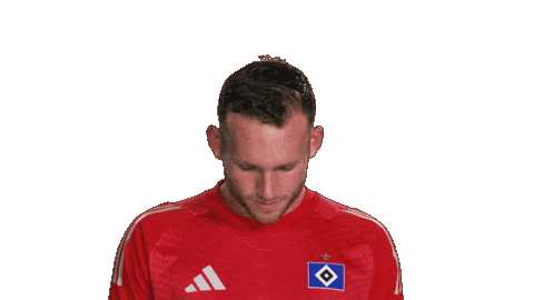 Look Up Hamburger Sv Sticker by Bundesliga