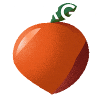 Vote Early Election 2020 Sticker by INTO ACTION