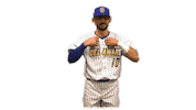 College Sports Baseball Sticker by Delaware Blue Hens