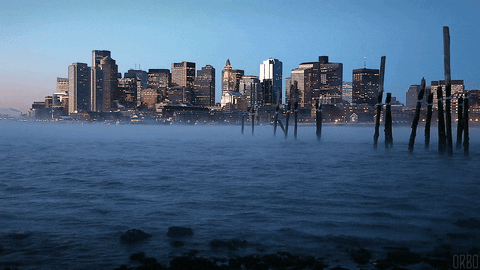 boston harbour GIF