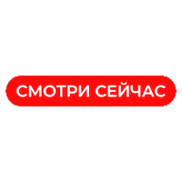 Lifenews Sticker by Life.ru