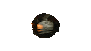 Cod Codmw2 Sticker by PlayStationDE
