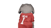 Crimson Tide Ua Sticker by The University of Alabama
