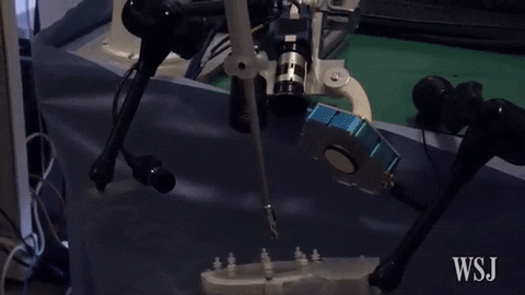 GIF by KQEDScience
