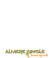 AlmereJungle animals zoo aj kijken Sticker