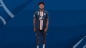 James Harden GIF by Paris Saint-Germain Handball