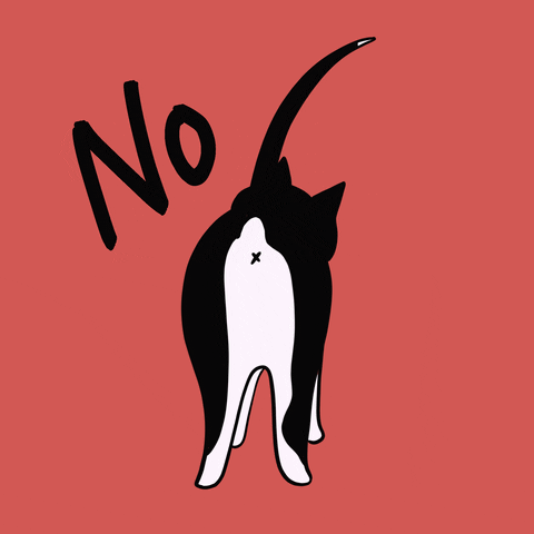 BueroLyndgrun giphyupload katze alfie blalfie GIF