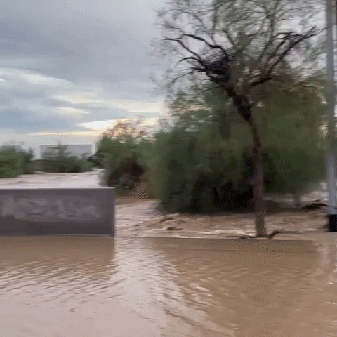 Dozens Rescued From Deadly Flooding in South-Central Arizona