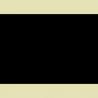 New Music Text GIF by Beyoncé