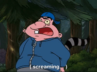 hey arnold nicksplat GIF