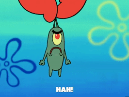 season 5 GIF by SpongeBob SquarePants