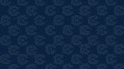 Cnms19 Joeboyd GIF by Carson-Newman Athletics