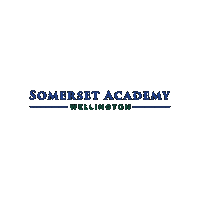 Academica Schools Sticker by Academica