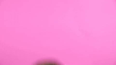 surprise hair flip GIF by Chastity Belt