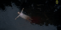 Lonely Episode 2 GIF by National Geographic Channel