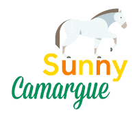 Horse Boating Sticker by Le Boat