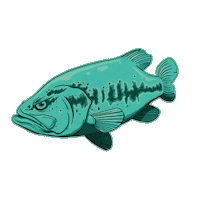 Bass Spinning Sticker by Jolly Fishing