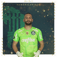 Soccer Futebol GIF by SE Palmeiras