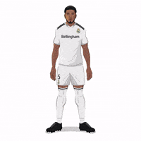 Real Madrid Football GIF by SportsManias