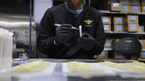 Tour Grow GIF by Exclusive Brands