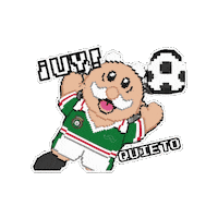 Football Futbol Sticker by Dr Simi oficial