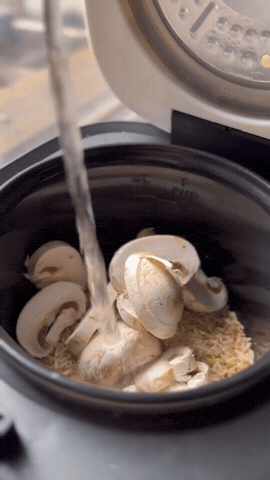 Mushroom Brown Rice | Rice Robot