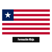 Flag Bandera Sticker by Formación Ninja