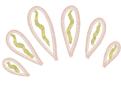 Shine Bang Sticker