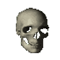 Sarieeeel meme spin skull greenscreen Sticker