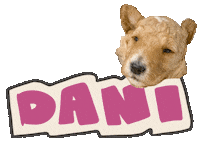 jellybees sticker dani goldendoodle golddanidoodle Sticker