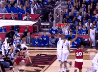 final four basketball GIF by The Daily Dot