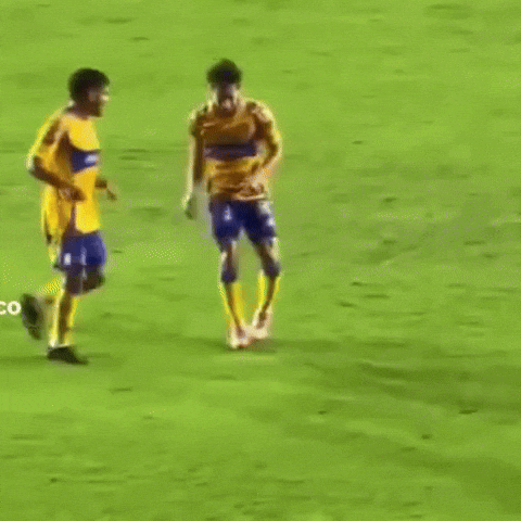 Liga Mx Tigres GIF
