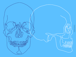 skull line GIF by Souzacampus