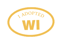 America Reaction Sticker by Crooked Media