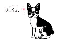 Dog Sticker