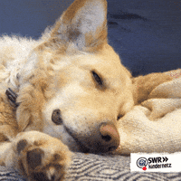 Tired Spring Fever GIF by SWR Kindernetz