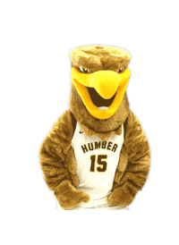 Soccer Goal Sticker by Humber Athletics