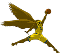 Go Hawks Sticker by Humber Hawks