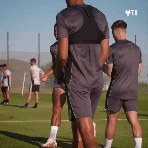 Premier League Laughing GIF by Wolves