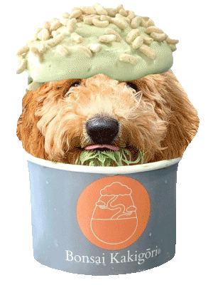 Shaved Ice Dog Sticker