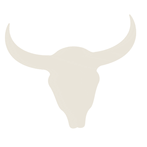 ranchwater texas longhorn ranchwater westtexas Sticker