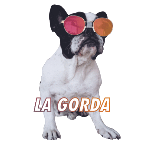 wildgosun wildgoxlogan Sticker by moeyewear