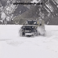 King GIF