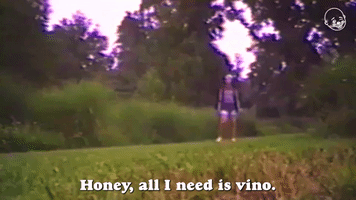 Honey, All I Need Is Vino