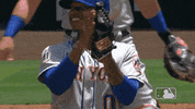 New York Sport GIF by MLB