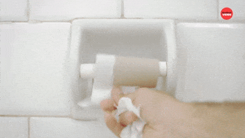 No Toilet Paper