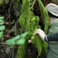 Chocolate Cake Food GIF by Four Rest Films