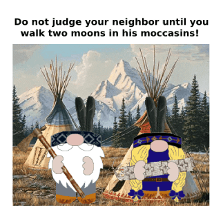 Native American Gnome GIF